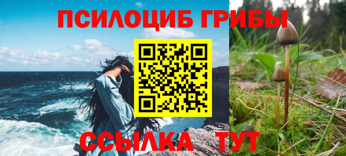 Вязники  Галлюциногенные грибы мухоморы  Вход с VPN  Псилоцибиновые грибы мицелий 